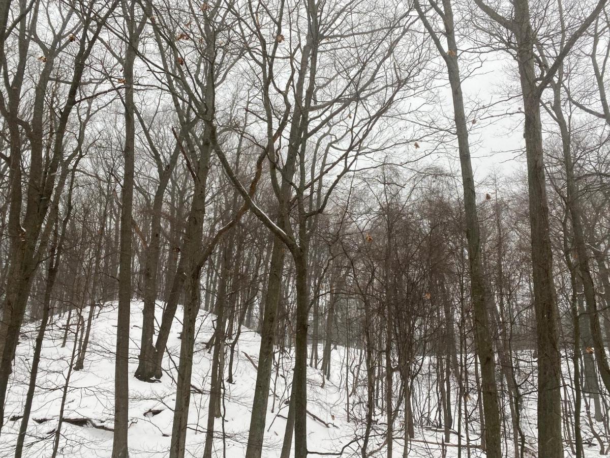 The Sanctuary At Deer Dune , ソーガタック エクステリア 写真